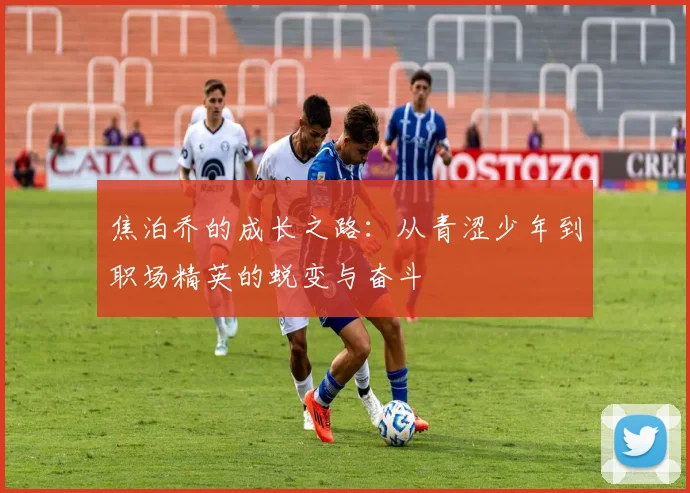 焦泊乔的成长之路：从青涩少年到职场精英的蜕变与奋斗